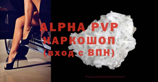 прущие грибы Балабаново