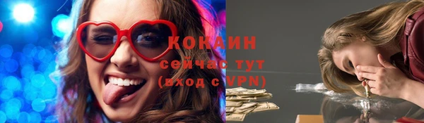 прущие грибы Балабаново