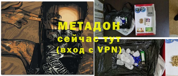 прущие грибы Балабаново